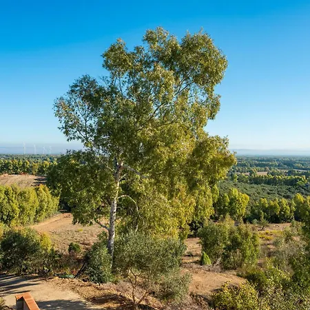 Gutturu E Forru ゲストハウス